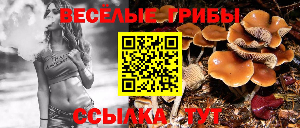 Галлюциногенные грибы Cubensis Сергиев Посад